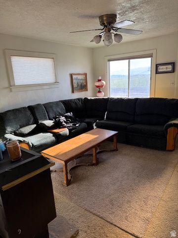 1439 N WESTSIDE HWY, Dayton, ID 83232