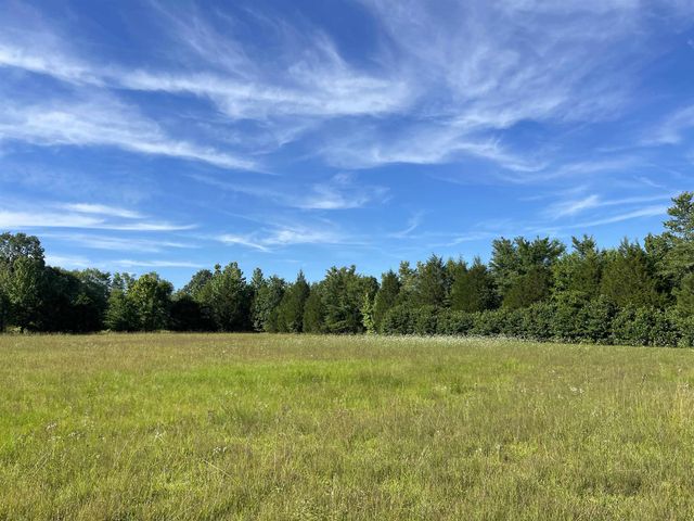 5070 ROWSEY SCHOOL RD, Bethel Springs, TN 38315