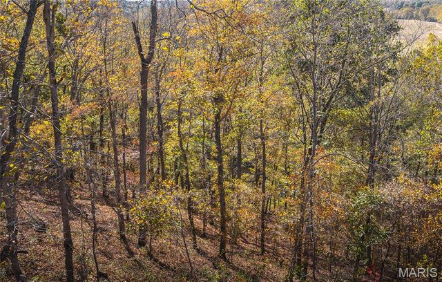 10501 State Route O, Ste Genevieve, MO 63670