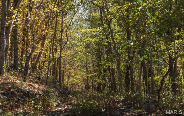 10501 State Route O, Ste Genevieve, MO 63670