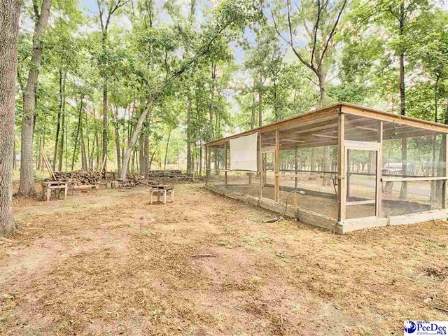 119 Springdale Drive, Bennettsville, SC 29570