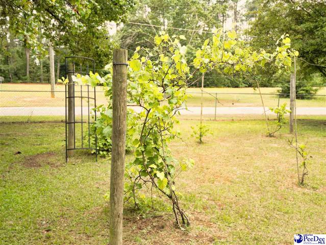 119 Springdale Drive, Bennettsville, SC 29570