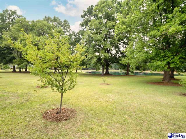119 Springdale Drive, Bennettsville, SC 29570
