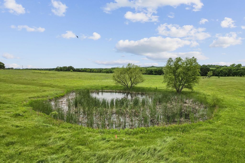 TBD Farm to Market 1562 Road, Celeste, TX 75423