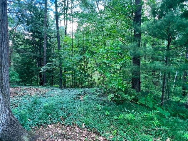 608 Jill Street, Harrison, MI 48625