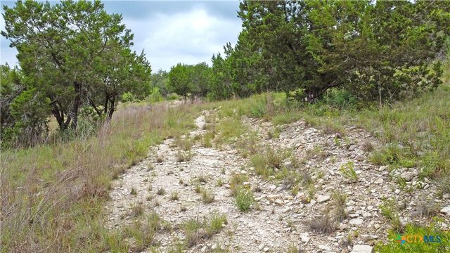 350 La Paloma Drive, Canyon Lake, TX 78133