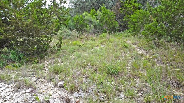 350 La Paloma Drive, Canyon Lake, TX 78133