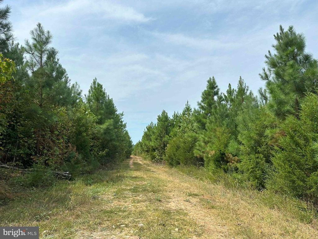 PENLAN ROAD (RT. 671) (TRACT: PENDLAND-3), Arvonia, VA 23004