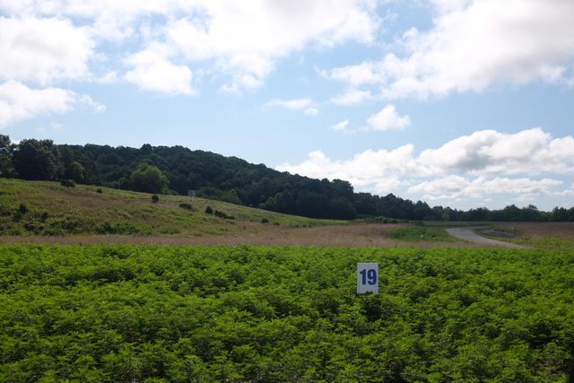 56 Lot 50 Dove Lane, East Bernstadt, KY 40729