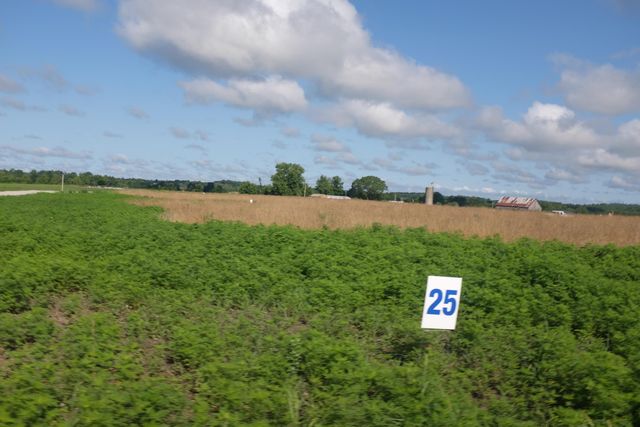 56 Lot 50 Dove Lane, East Bernstadt, KY 40729