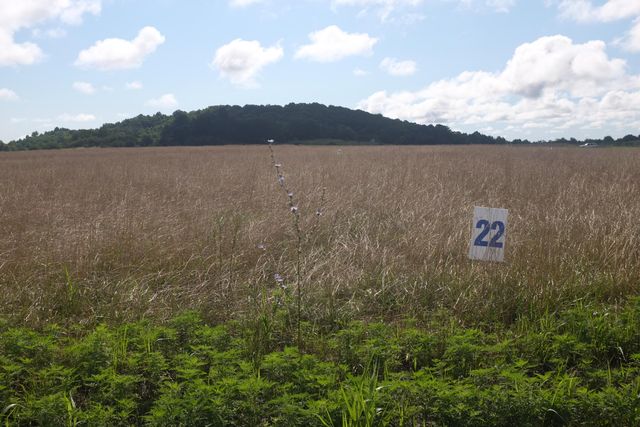 56 Lot 50 Dove Lane, East Bernstadt, KY 40729