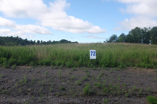 56 Lot 50 Dove Lane, East Bernstadt, KY 40729