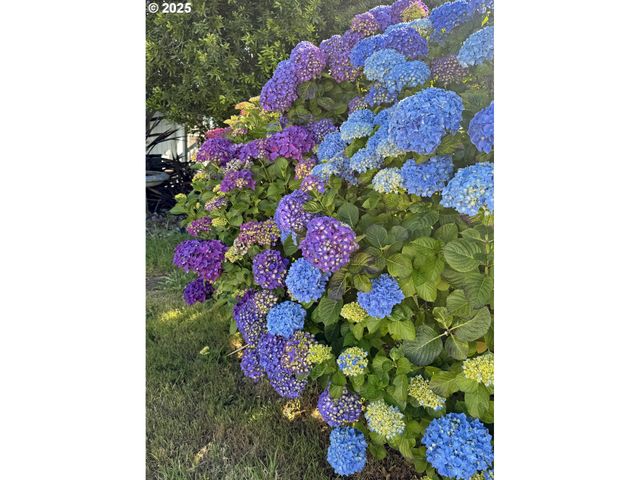 97882 MARKS Ln, Brookings, OR 97415