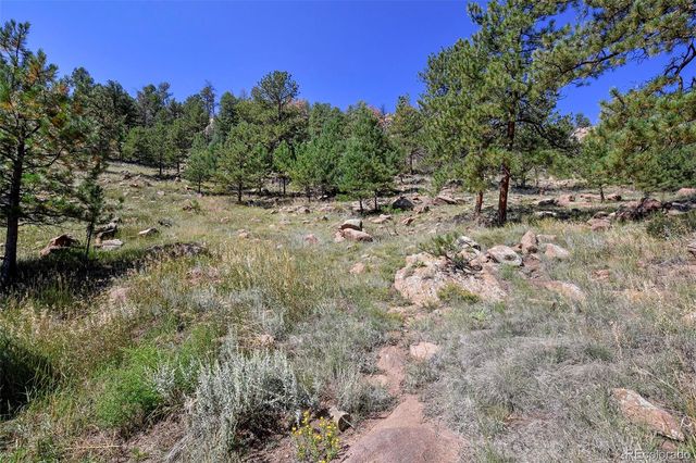 79 Ranch View Drive, Florissant, CO 80816