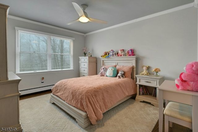 3 Esther Ct, Chester Twp., NJ 07930