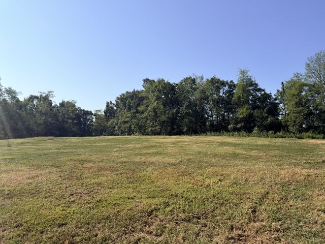 358 Magnolia Springs Way, Lafayette, TN 37083