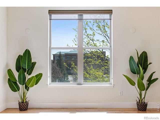 204 Maple Street 208, Fort Collins, CO 80521