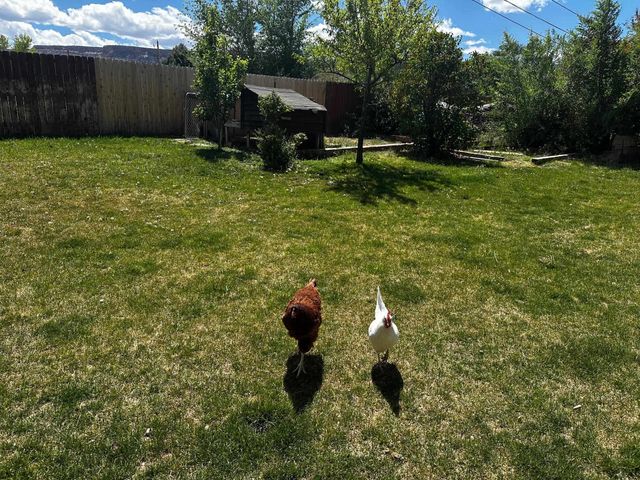 2109 Zion Road, Grand Junction, CO 81507