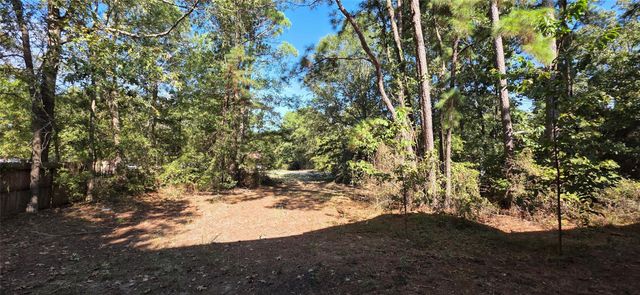 50 Nassau Lane, Point Blank, TX 77364