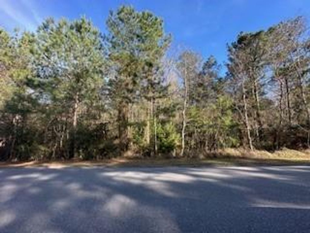 0 Boardwalk Drive, Daphne, AL 36527 — photo 4
