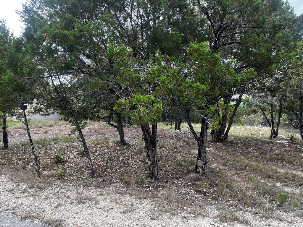 20613 Falcon, Lago Vista, TX 78645