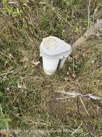 1463 N Onondaga Road, Holt, MI 48842