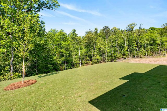 3474 BLACKRIDGE CIRCLE, Hoover, AL 35244