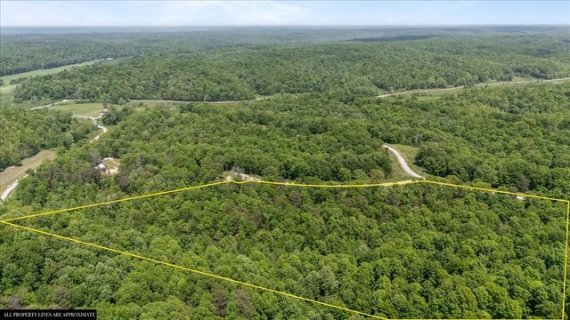 0 Western Rd, Waverly, TN 37185