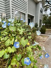 890 Sea Gull Drive, Mount Pleasant, SC 29464