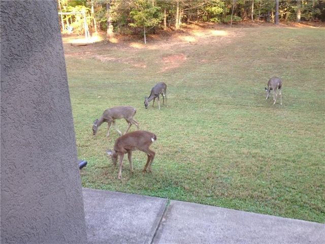 3357 Rising Fawn Trail, Suwanee, GA 30024