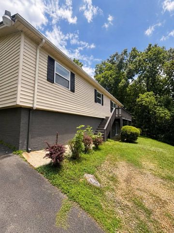 128 Brindalene Lane, Jasper, TN 37347
