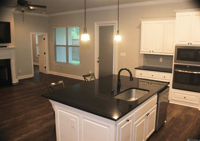 36347 Belle Savanne Ave, Geismar, LA 70734