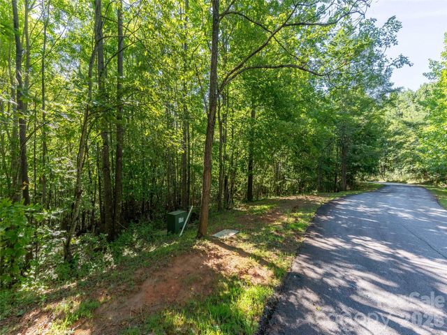 0 Cherry Hill 221, Mill Spring, NC 28756