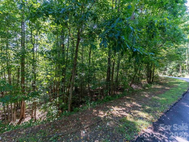 0 Cherry Hill 221, Mill Spring, NC 28756