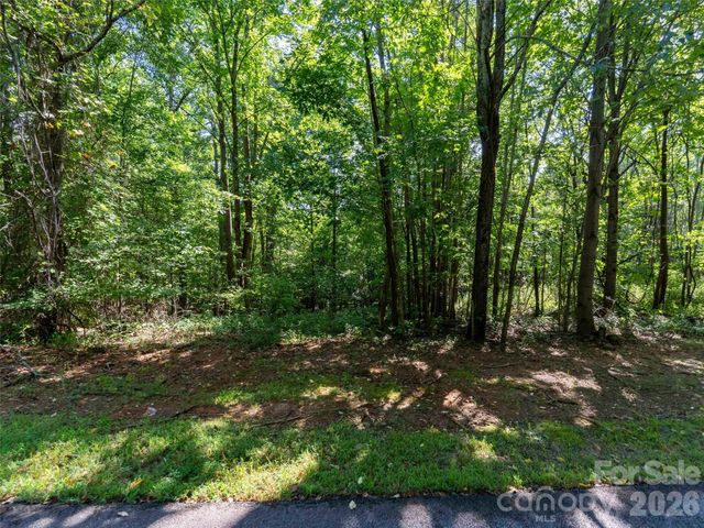 0 Cherry Hill 221, Mill Spring, NC 28756