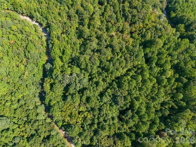 0 Cherry Hill 221, Mill Spring, NC 28756