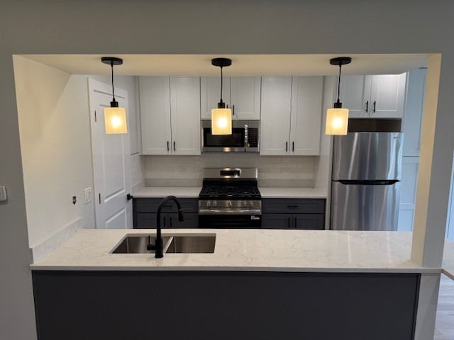 1085 Cove Drive, Prospect Heights, IL 60070