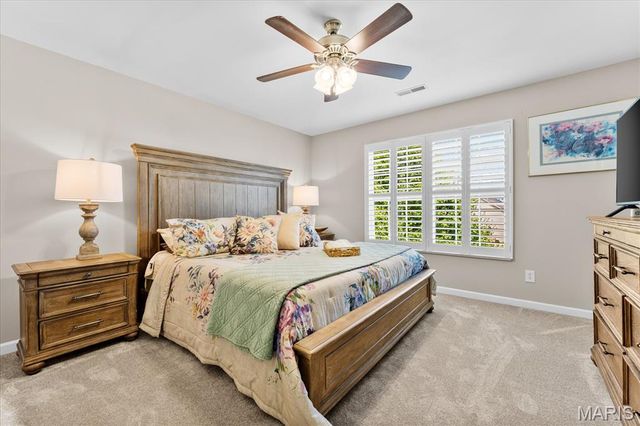3407 Whistling Cove, Swansea, IL 62226