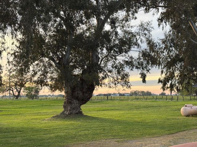 3027 W Wise Rd, Lincoln, CA 95648