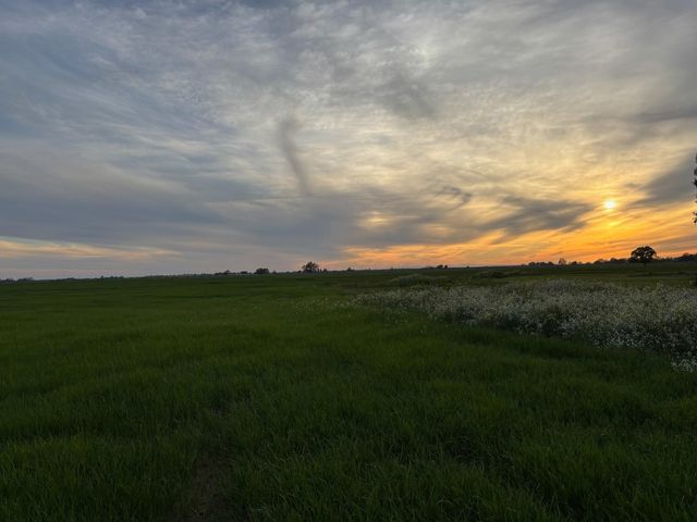 3027 W Wise Rd, Lincoln, CA 95648