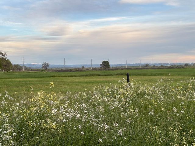 3027 W Wise Rd, Lincoln, CA 95648