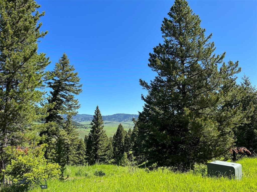 770 Mountain Moose Road, Bozeman, MT 59715 photo 37