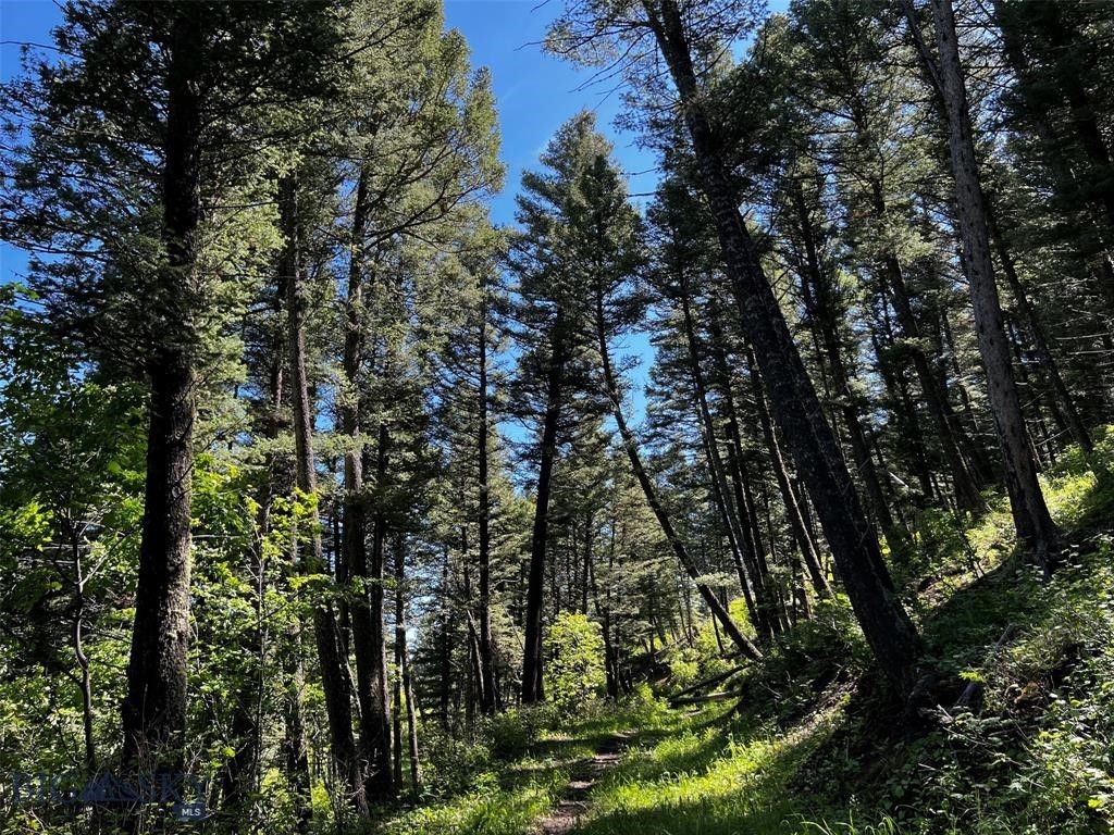 770 Mountain Moose Road, Bozeman, MT 59715 photo 43