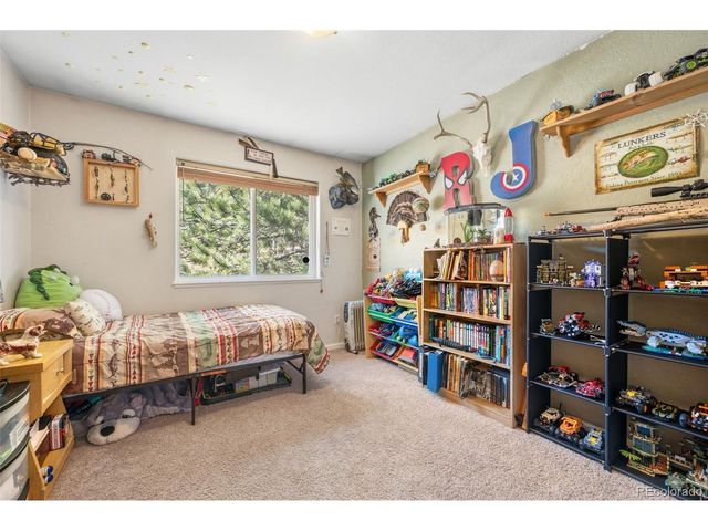 2222 County Road 72, Bailey, CO 80421