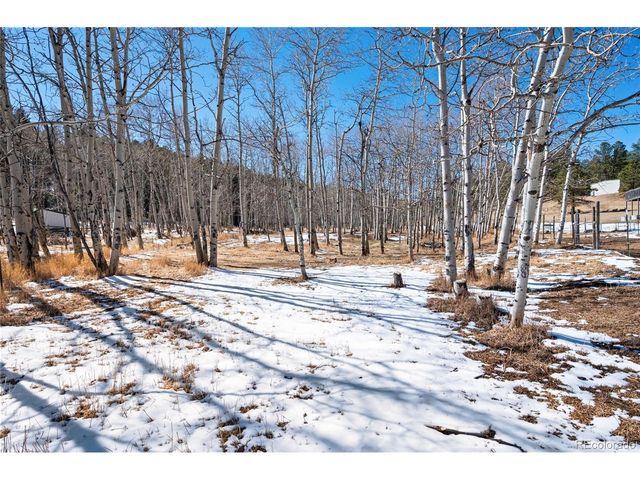 2222 County Road 72, Bailey, CO 80421