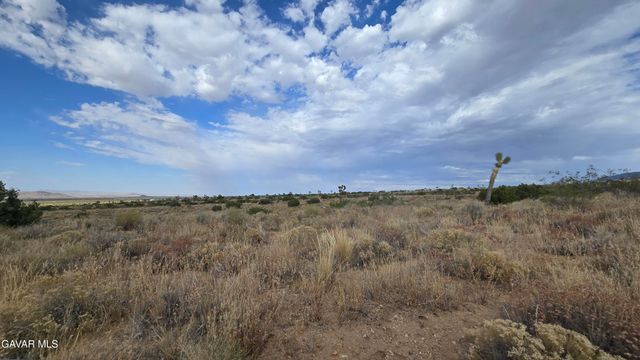 Vicinity Ave X13 & 189th St E, Llano, CA 93544