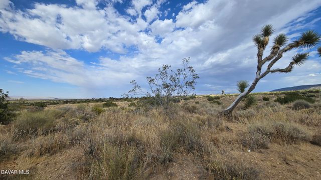 Vicinity Ave X13 & 189th St E, Llano, CA 93544