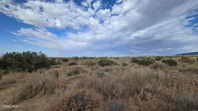 Vicinity Ave X13 & 189th St E, Llano, CA 93544