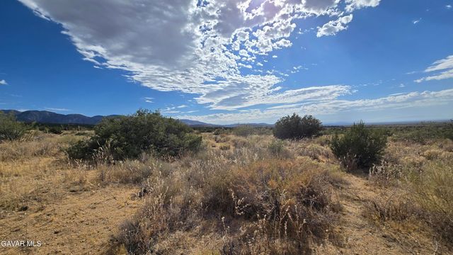 Vicinity Ave X13 & 189th St E, Llano, CA 93544