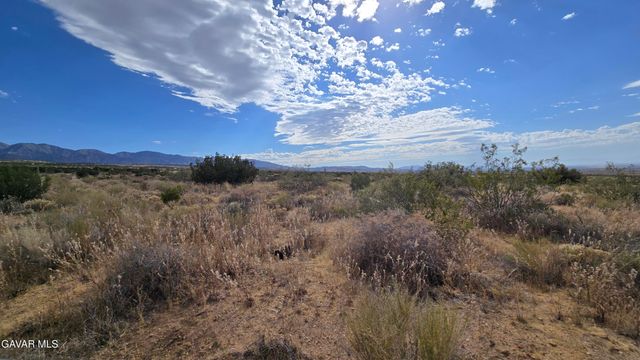 Vicinity Ave X13 & 189th St E, Llano, CA 93544